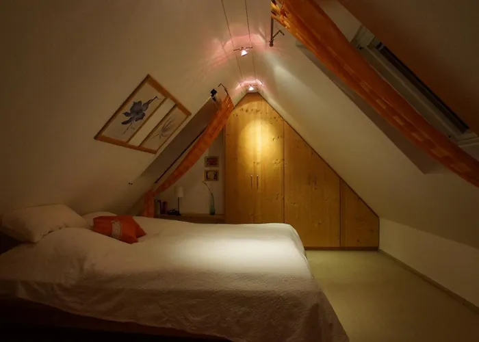Sternmoewe Lejlighed